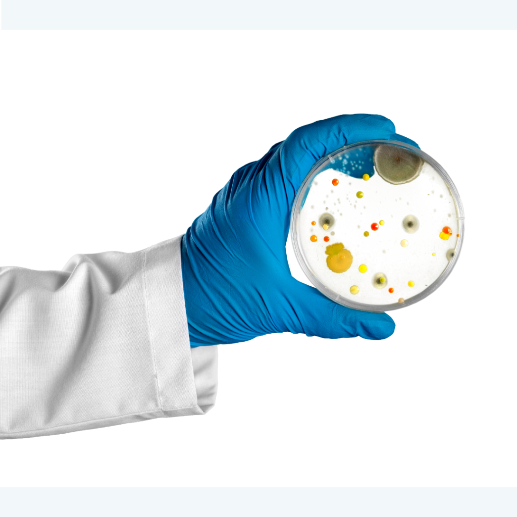 Microbiology - Lab - Technologies