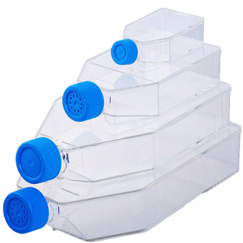 Cell Culture Flasks, PS, Treated and Non-Treated_cell_culture Cell Culture Flasks, PS, Treated and Non-Treated_cell_culture