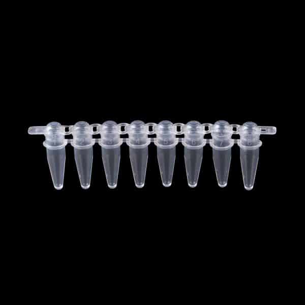 PCR 8 strip clear caps - Flat & Domed, PP _ Lab Technologies