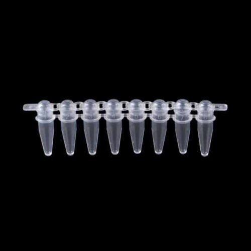 AmpQlear 8-Strip Tubes With 8-Strip Caps, PP _ Lab Technologies AmpQlear 8-Strip Tubes With 8-Strip Caps, PP _ Lab Technologies