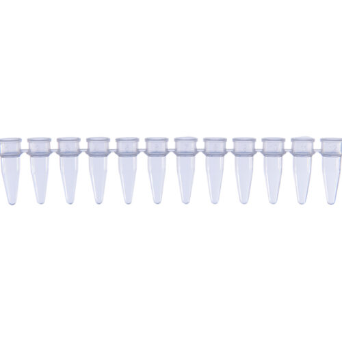 AmpQlear PCR Strip Tubes without Cap 8 Strips, PP_Lab Technologies AmpQlear PCR Strip Tubes without Cap 8 Strips, PP_Lab Technologies