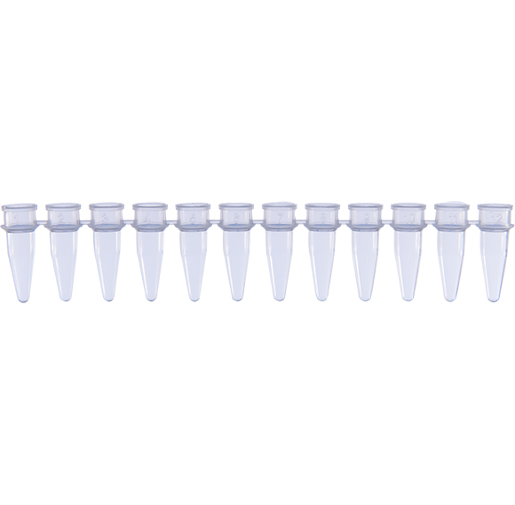 AmpQlear PCR Strip Tubes without Cap 8 Strips, PP_Lab Technologies