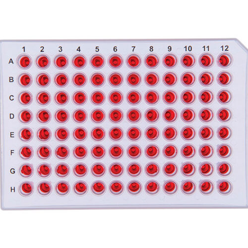 PCR Plates Family, PP_Lab Technologies PCR Plates Family, PP_Lab Technologies
