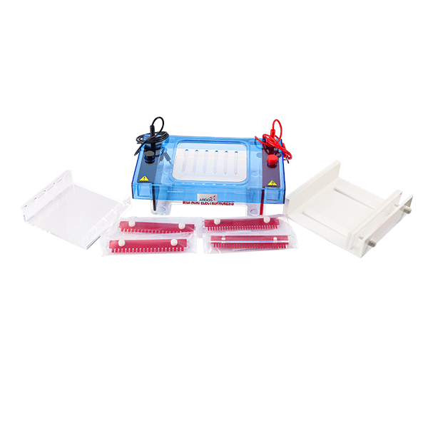 ABDOS MidiAGE Horizontal Electrophoresis_Lab Technologies