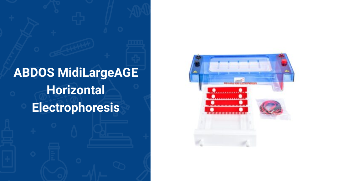 Electrophoresis System 1 ABDOS MidiLargeAGE Horizontal Electrophoresis