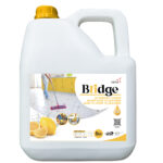 Bridge Floor Cleaner for Healthcare